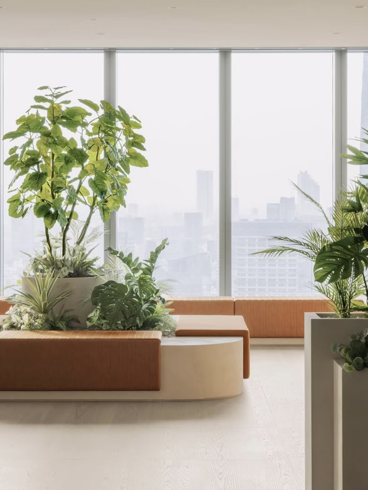 办公大堂落地窗前绿植休憩区实景